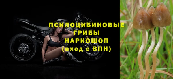 крисы Россошь