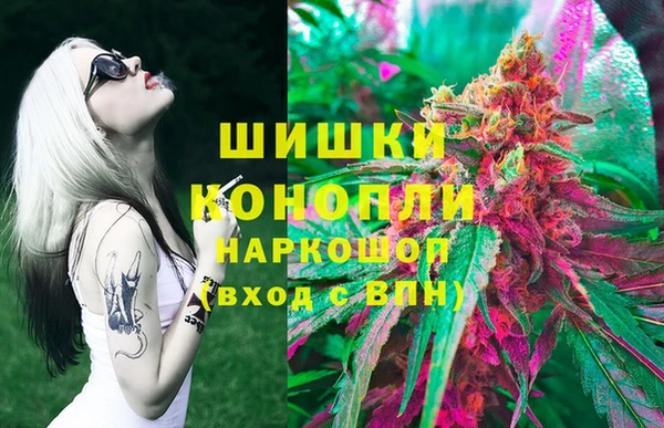 твердый Дмитриев