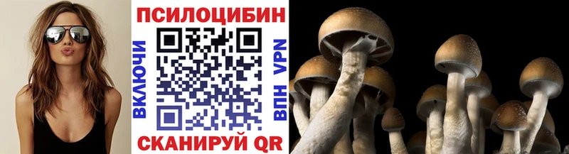 Галлюциногенные грибы Cubensis Купить закладки Певек
